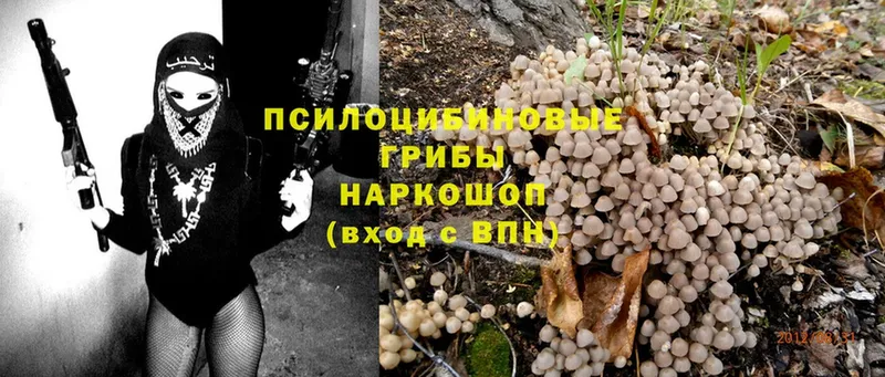 Галлюциногенные грибы MAGIC MUSHROOMS  купить наркотик  Балахна 